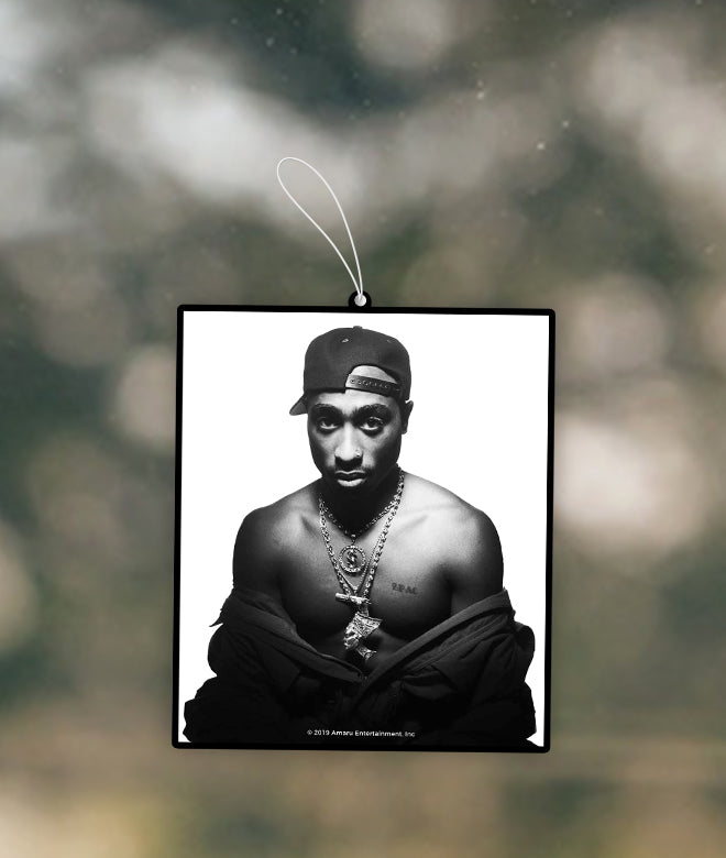 2pac Chain 1/2 Photo - COPYRIGHT 2019 AMARU ENTERTAINMENT, INC