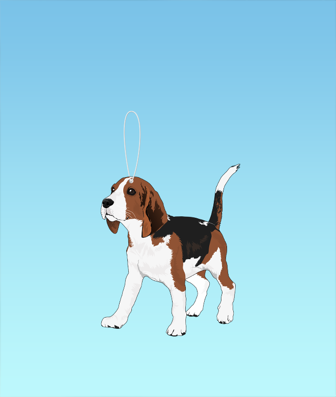 Beagle