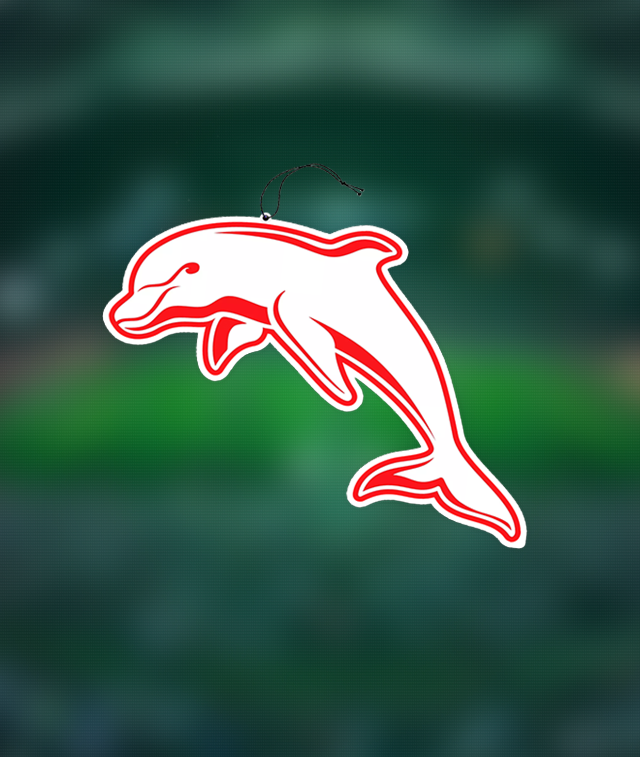 Dolphins Logo