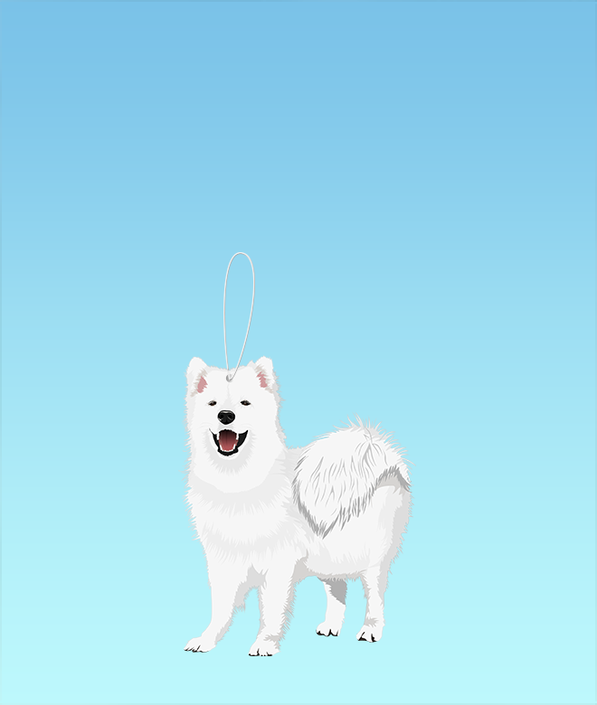 Simba the Samoyed