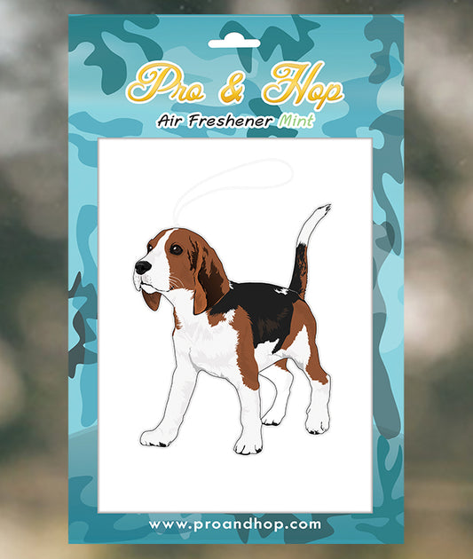 Beagle