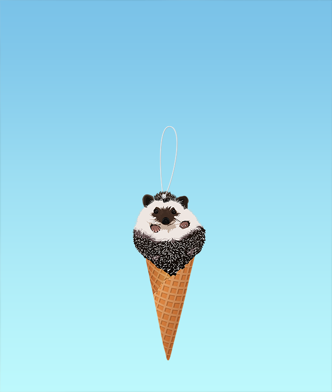 Mr.Pokee