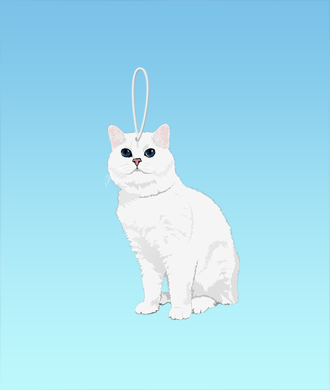 White Coffee Cat
